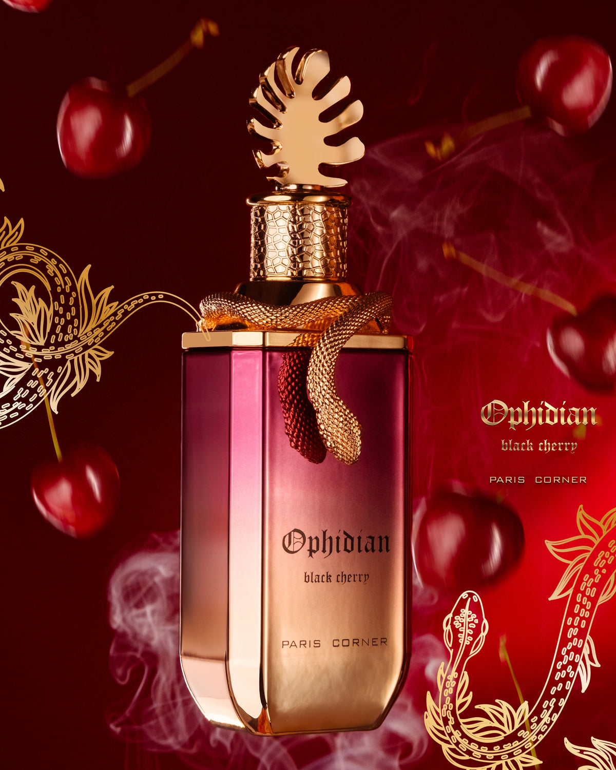 Paris Corner Ophidian Black Cherry