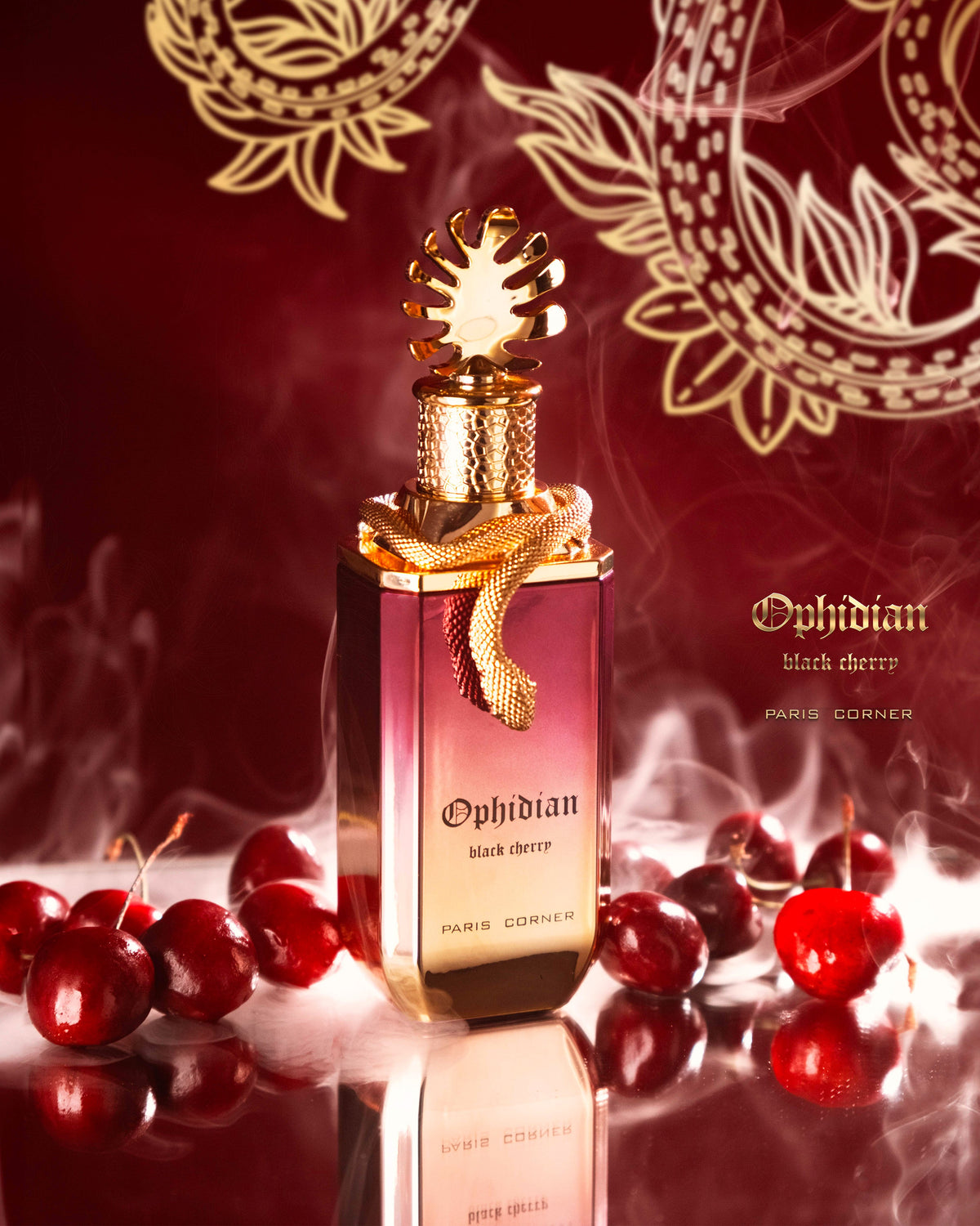Paris Corner Ophidian Black Cherry – Distrito Perfumería